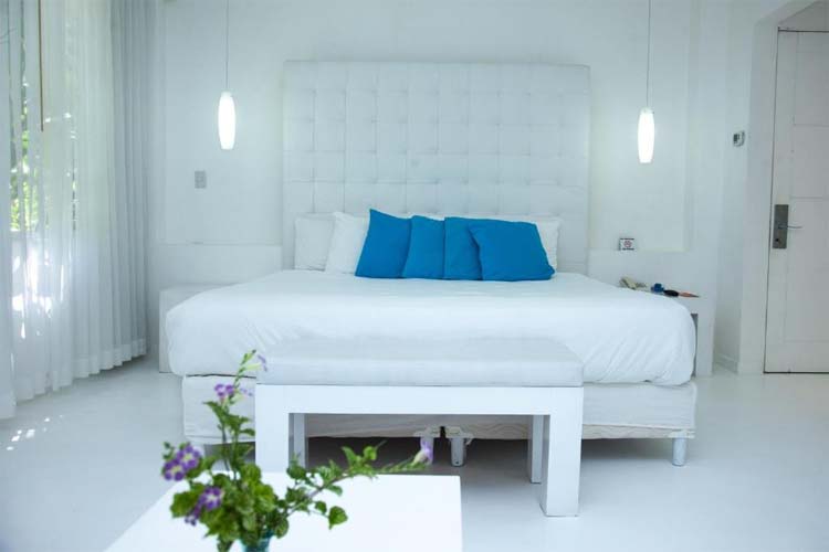 Junior Suite - Le Cameleon Boutique Hotel - Puerto Viejo de Talamanca