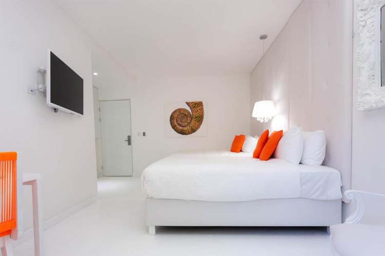 Family Room - Le Cameleon Boutique Hotel - Puerto Viejo de Talamanca