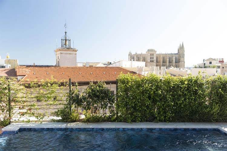 View - Hotel Cappuccino - Palma - Palma