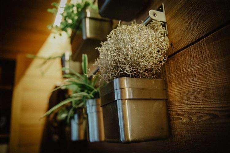 Detail - Hotel Larice - Livigno 