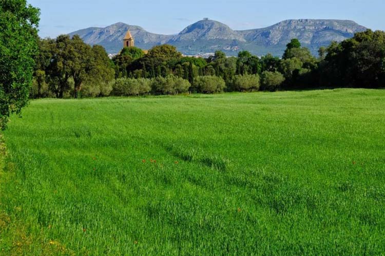 Views - Mas Ferran Pals - Costa Brava