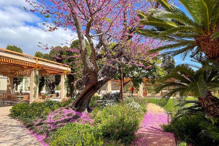 Garden - Hotel Boutique Mirlo Barcelona - Barcelona