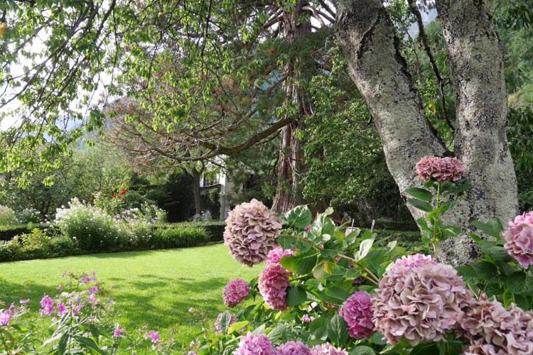 Garden - Hotel Palazzo Salis - Soglio