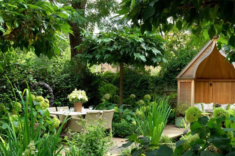 Garden - Number Sixteen - London