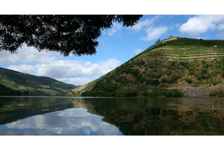 The Views - Six Senses Douro Valley - Lamego