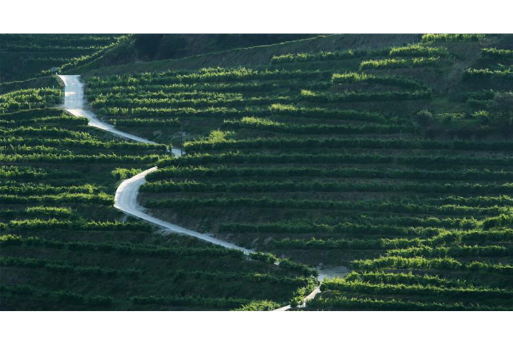 Surroundings - Six Senses Douro Valley - Lamego