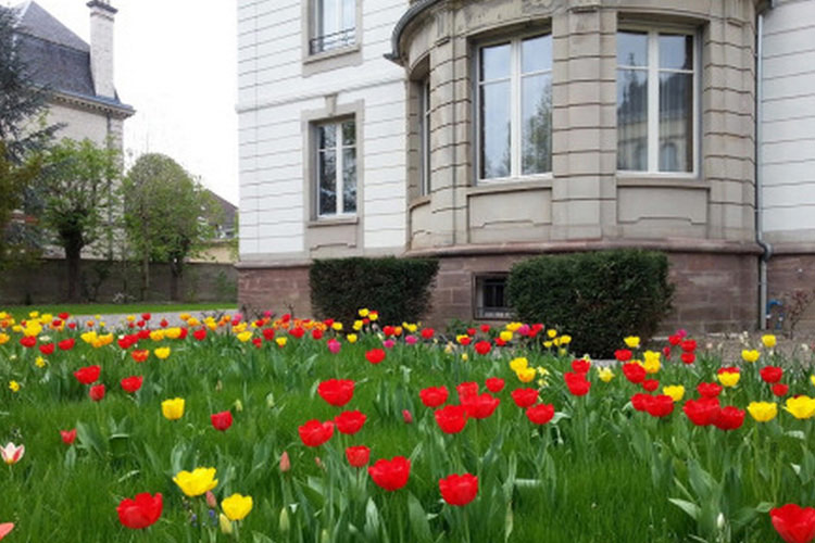 Garden - Villa Élyane - Colmar