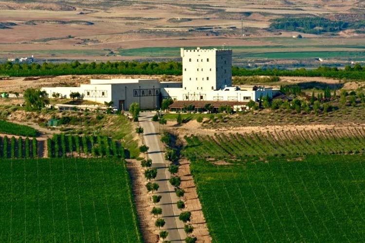 General View - Pago de Cirsus - Ablitas