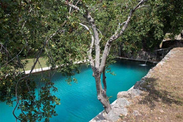 Pool - Agroturismo Son Viscos - Valldemossa