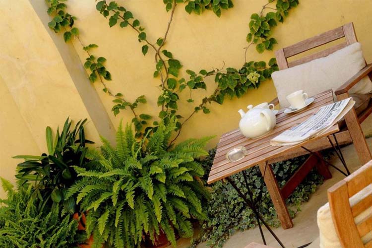 Courtyard - Casa Aldomar - Xàtiva