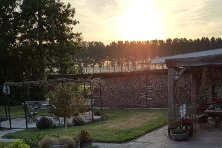 Terrace - De Kienstee - Schoondijke