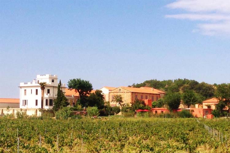 General View - Clos des Aspres - Ortaffa