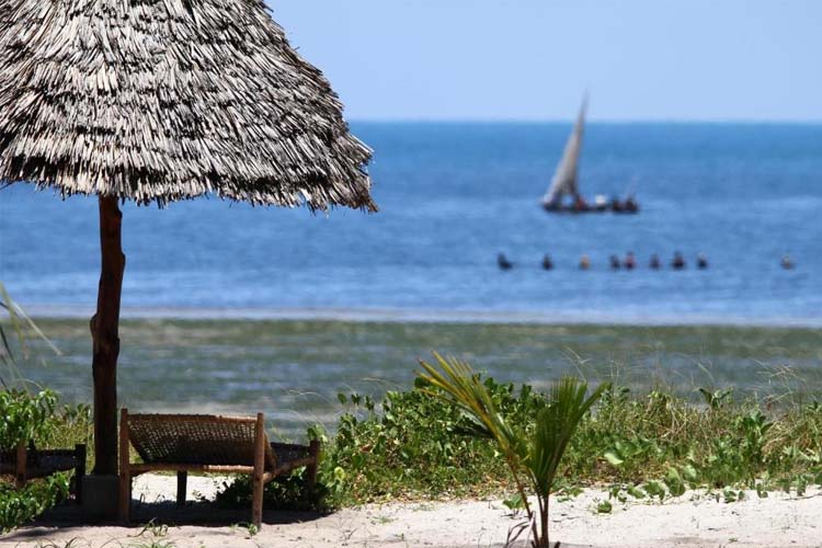 Two-Bedroom Bungalow - Kijongo Bay Beach - TANZANIA