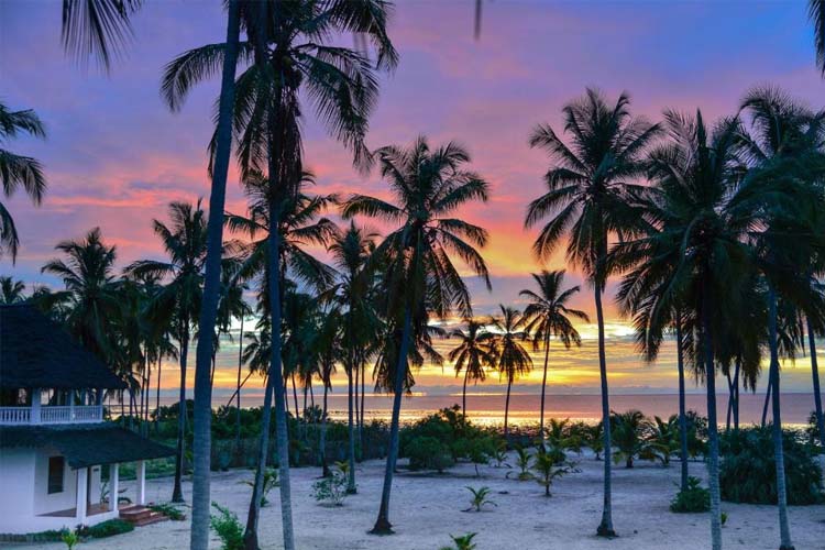 Two-Bedroom Villa - Beach Front - Kijongo Bay Beach - TANZANIA