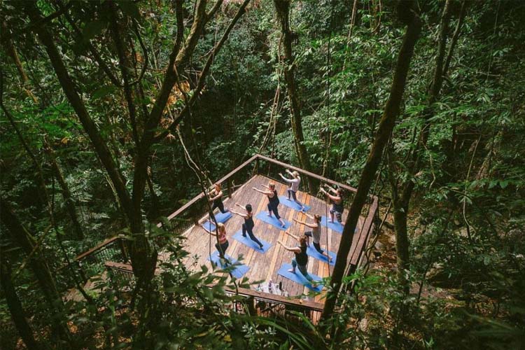 Yoga - Daintree Eco Lodge - Daintree