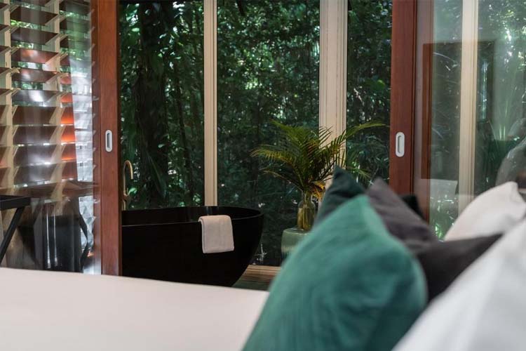 Rainforest Villa - Daintree Eco Lodge - Daintree