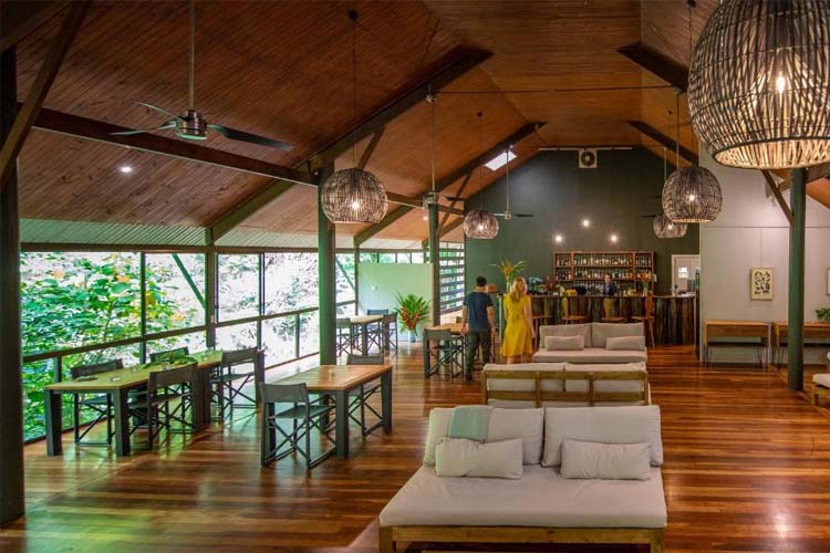 Restaurant - Daintree Eco Lodge - Daintree
