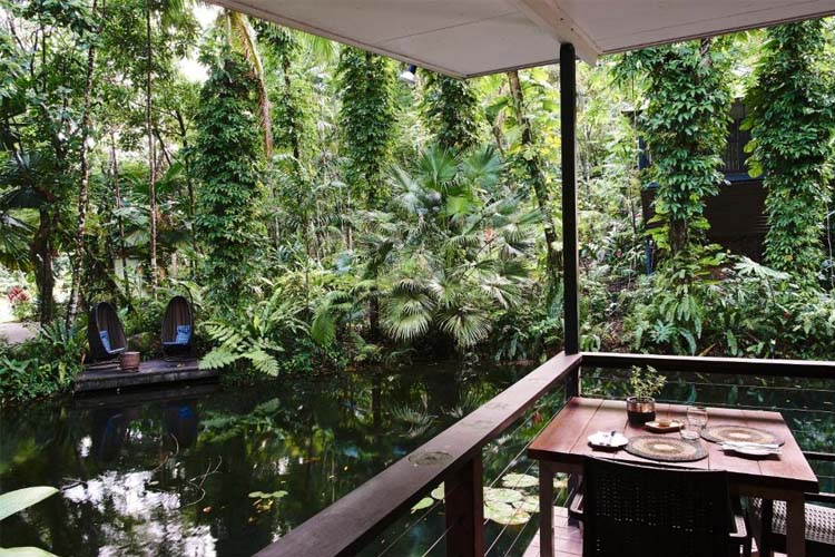 Restaurant - Daintree Eco Lodge - Daintree