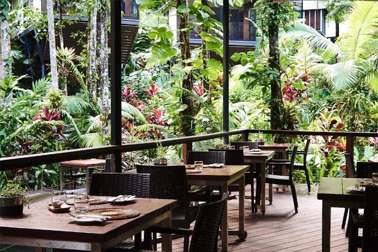 Restaurant - Daintree Eco Lodge - Daintree