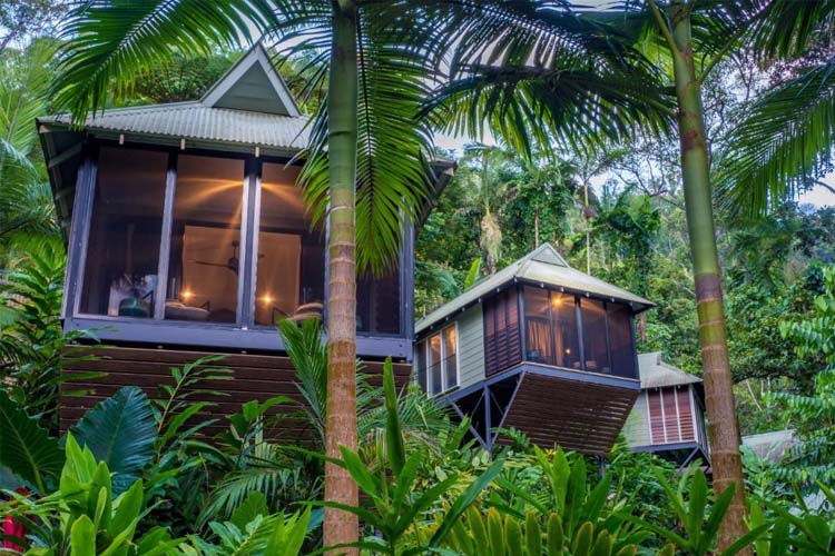 Lagoon Villa - Daintree Eco Lodge - Daintree