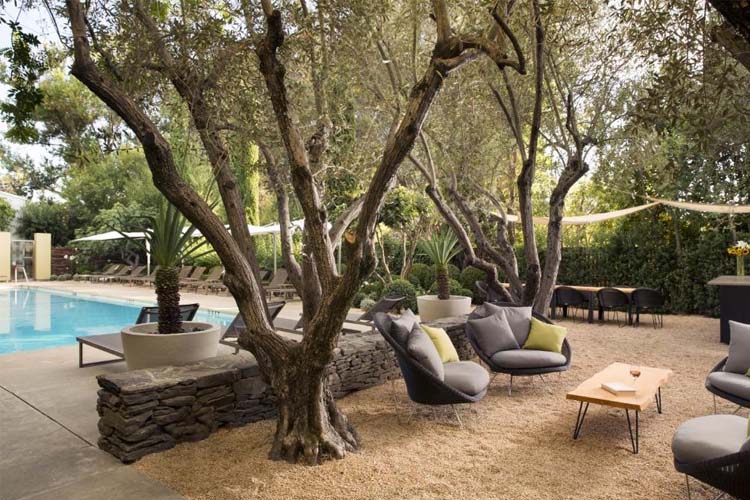 Terrace - Hotel Healdsburg - Healdsburg