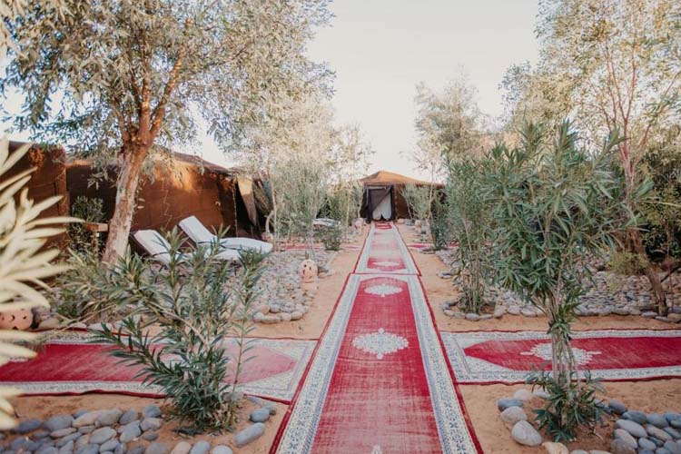 Camp - Kam Kam Dunes - Merzouga