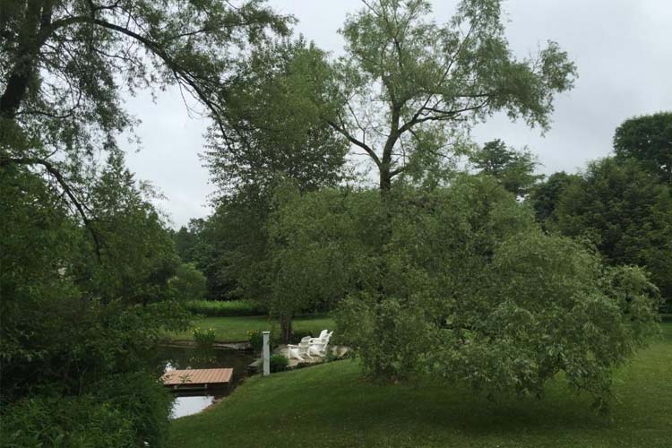 Garden - Jackson House Inn - Woodstock