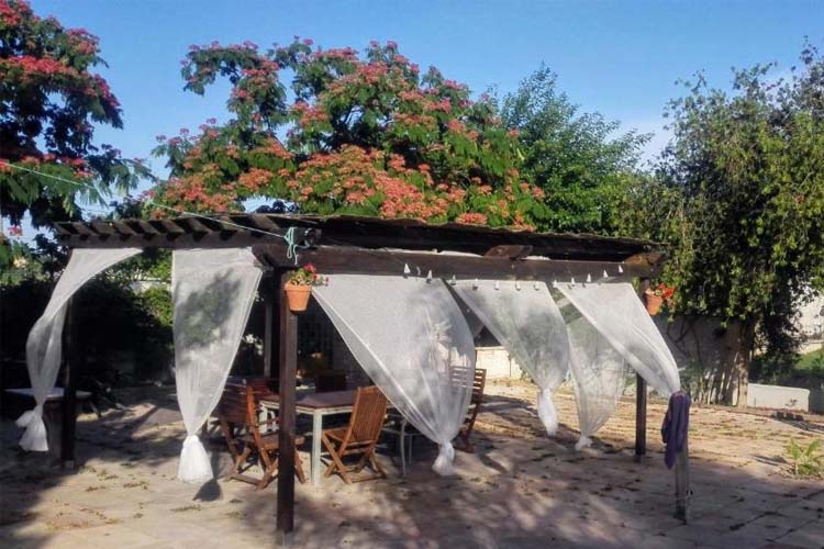 Terrace - La Toscana - Murcia