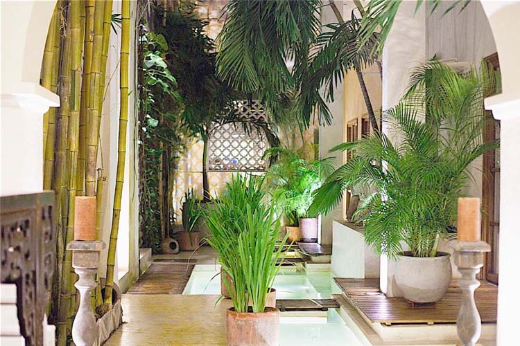 Terrace - Hotel Casa Lola - Cartagena