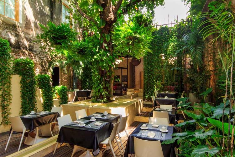 Terrace - Hotel Casa Lola - Cartagena