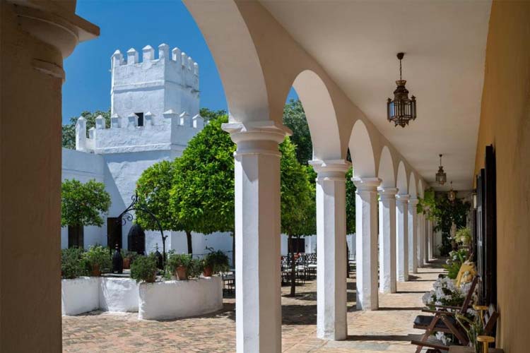 Patio - Cortijo Torre de la Reina - Torre de la Reina