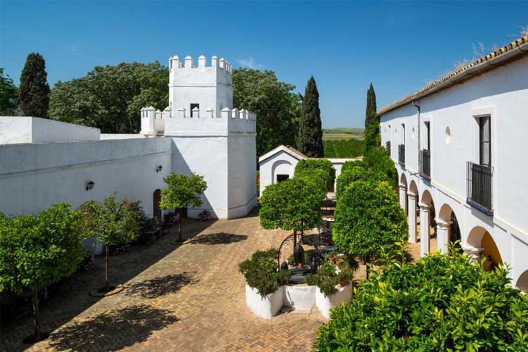 Patio - Cortijo Torre de la Reina - Torre de la Reina