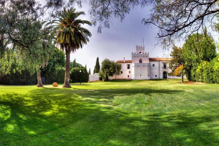 General View - Cortijo Torre de la Reina - Torre de la Reina