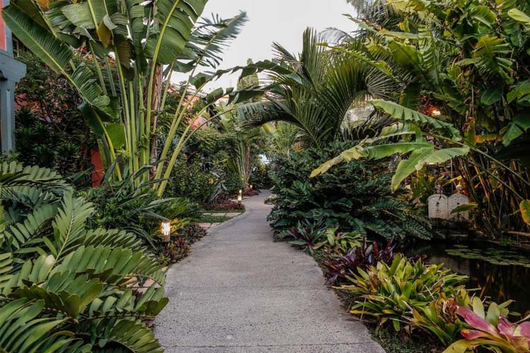 Entrance - Hotel Hacienda de Abajo - Tazacorte