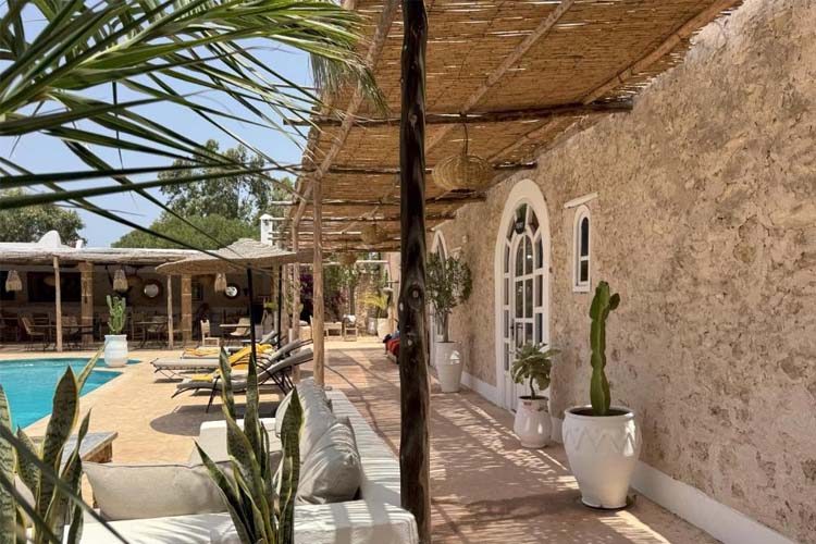 Terrace - Riad Eucalyptus Ethnic Hotel - Essaouira