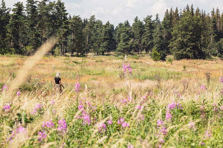Exterior - Instants d'Absolu Ecolodge & Spa - Chavagnac