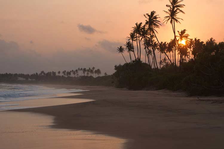 The Beach - Buckingham Place - Rekawa