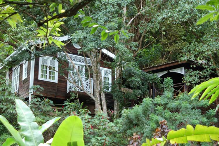 Tree House - Fond Doux Plantation & Resort - Soufrière