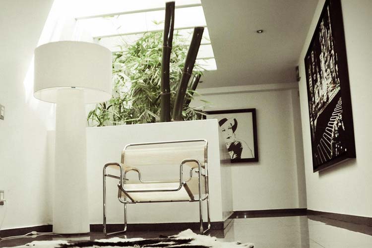 Clarum 101 - Clarum 101 Boutique Hotel - Guadalajara