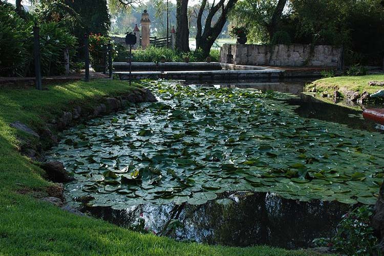 View - Hacienda la Magdalena - Guadalajara