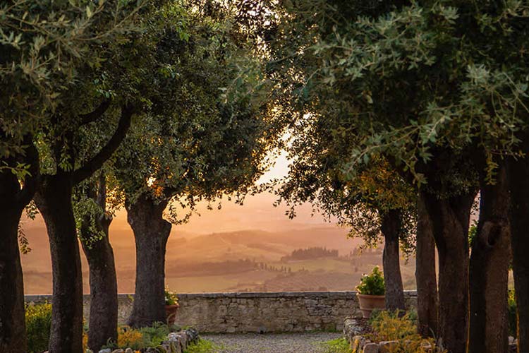 Views - Castello la Leccia - Castellina in Chianti