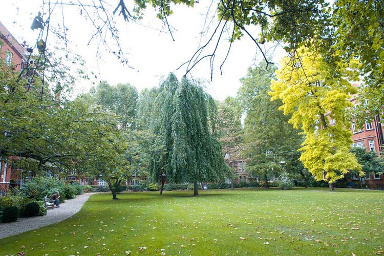 Exterior - Draycott Hotel - London