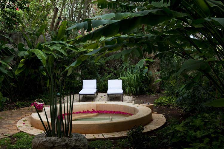 Garden - The Hacienda Santa Rosa - Santa Rosa