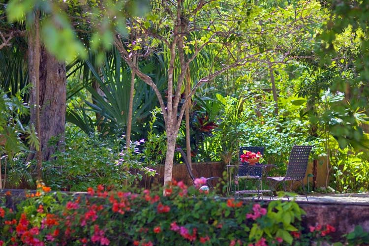 Garden - The Hacienda Santa Rosa - Santa Rosa
