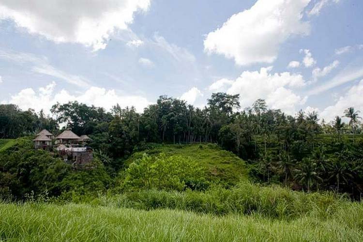 Surrooundings - Amori Villa - Pejeng Kawan