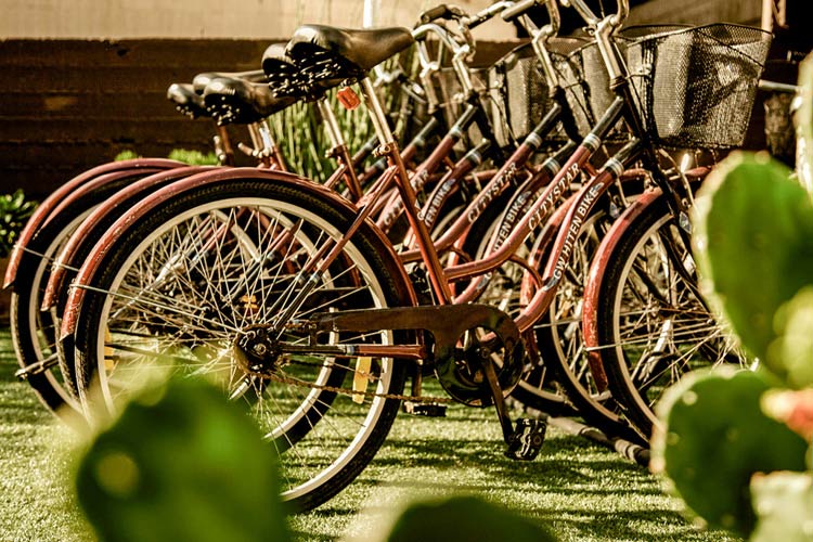 Bikes - Brown TLV - Tel Aviv