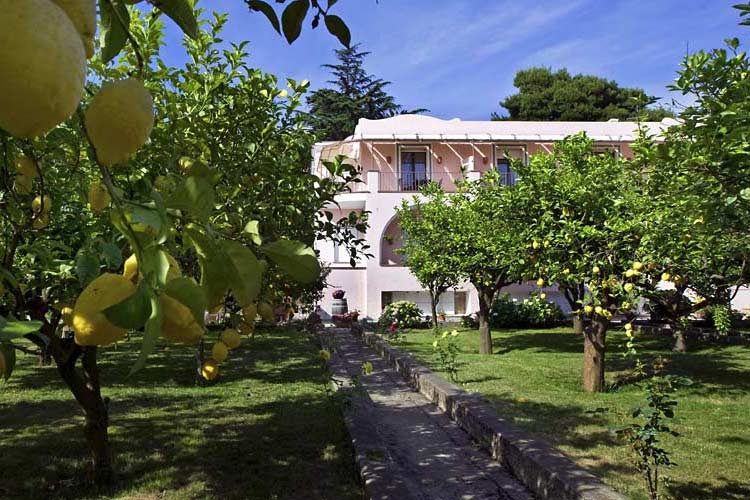 The Garden - Casa Mariantonia - Capri, Ischia y Procida