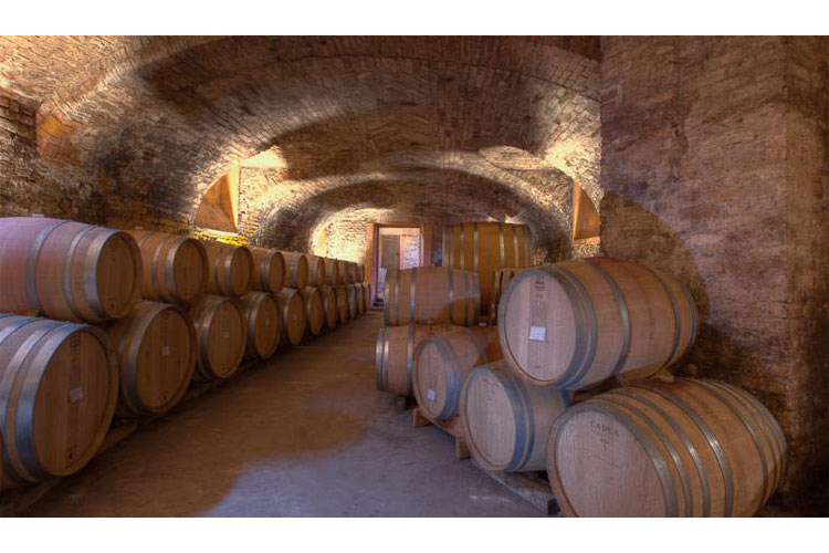The Wine Cellar - Locanda Marchesi Alfieri - San Martino Alfieri