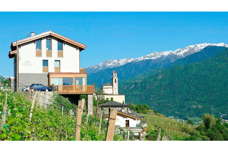 General View - Wine Hotel Retici Balzi - Poggiridenti