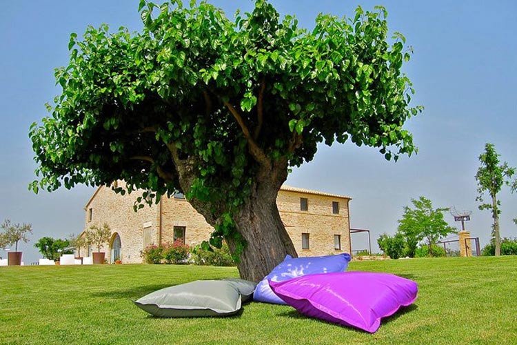 General View - Solea Albergo di Campagna - Trecastelli